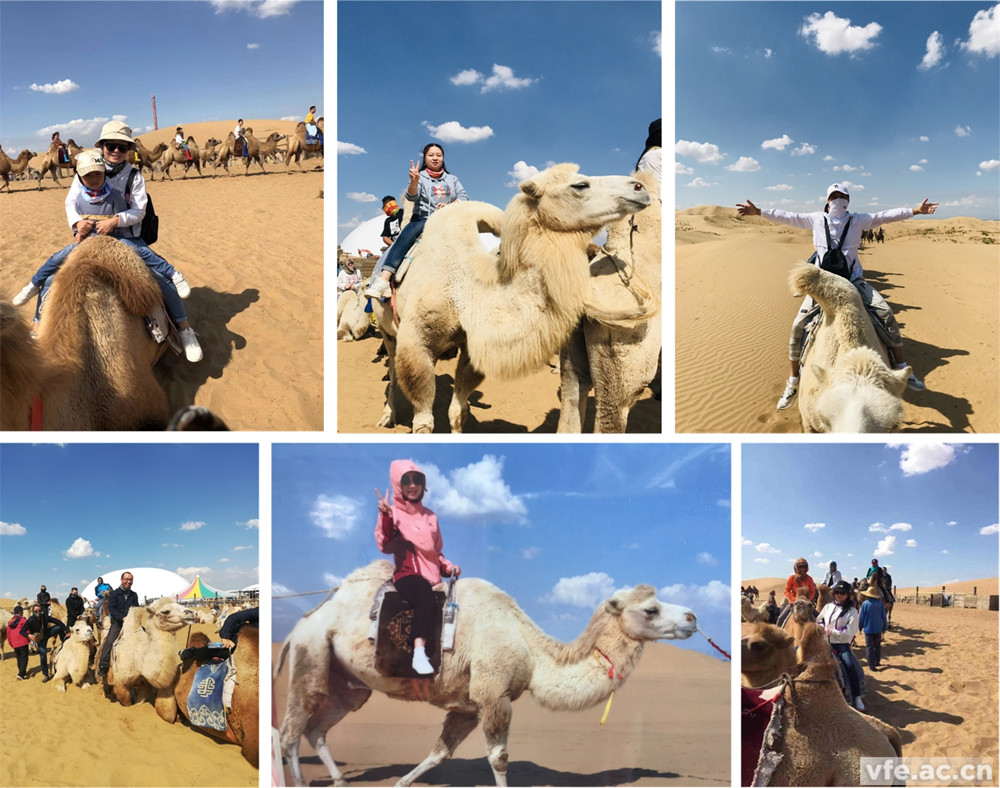 騎著駱駝走沙漠，不要太穿越