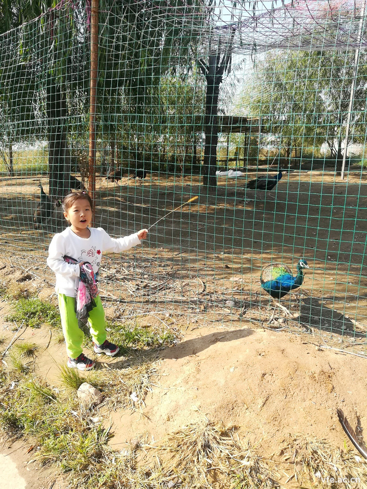 內(nèi)蒙之行，難忘之旅