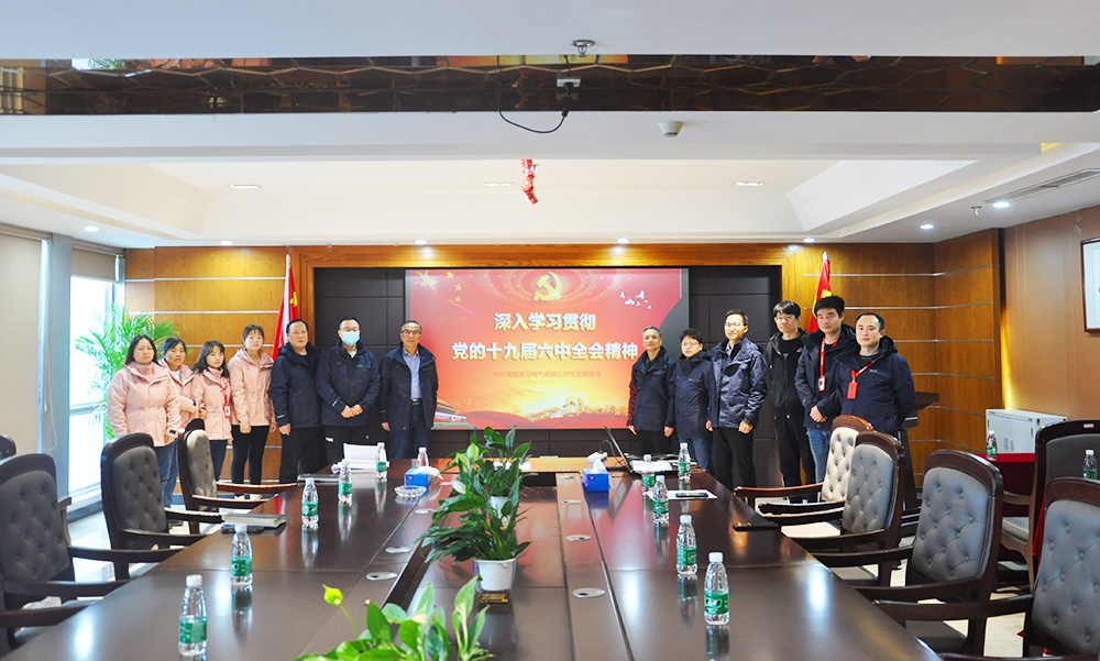 銀河電氣黨支部開展2021年黨日系列活動(dòng)