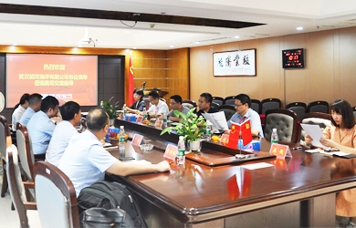 國網(wǎng)電力領(lǐng)導(dǎo)團隊來訪銀河電氣